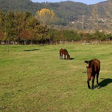 Quinta Da Torre De Refoios Séjour à la ferme Ponte de Lima